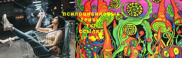 jwh Абинск