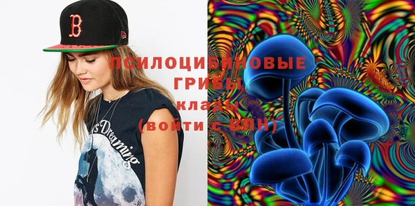 дживик Абаза
