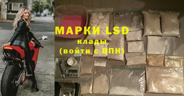 ПСИЛОЦИБИНОВЫЕ ГРИБЫ Алексин