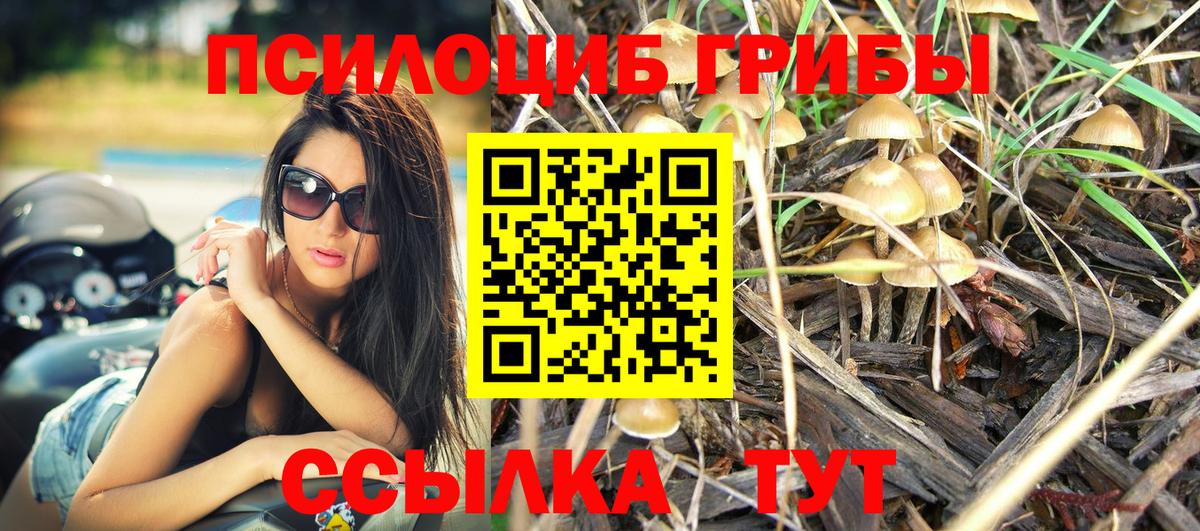 Карпинск  Галлюциногенные грибы Psilocybine cubensis  Вход с VPN  Галлюциногенные грибы прущие грибы 